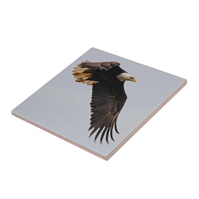 A Bald Eagle Takes to the Sky Ceramic Tile (Side)
