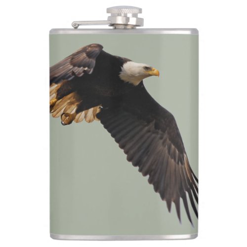 A Bald Eagle Takes to the Sky Flask