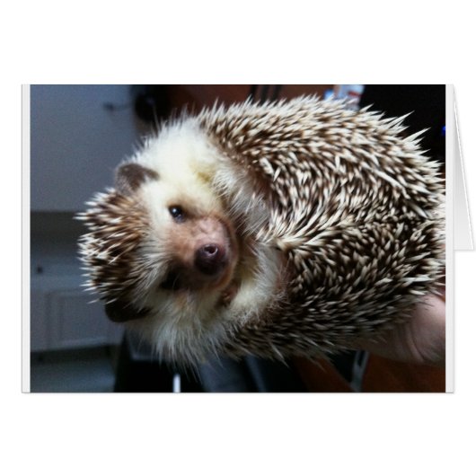 A ball of Spike (Front Horizontal)