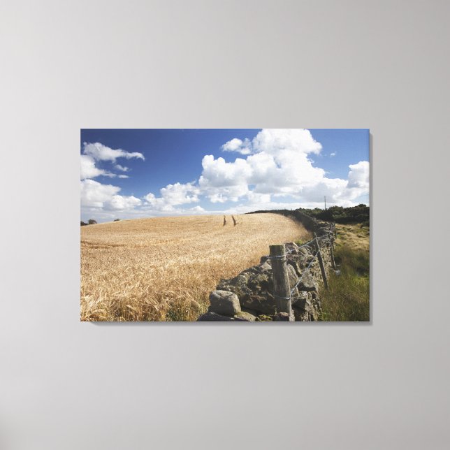 A Barbed Wire Fence Built Along A Stone Fence Canvas Print (Front)