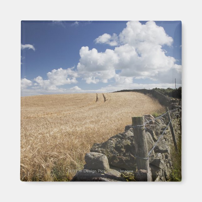 A Barbed Wire Fence Built Along A Stone Fence Magnet (Front)