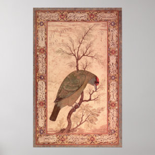 A Barbet  Jahangir Period, Mughal, 1615 Poster
