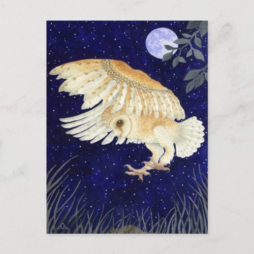 A Barn Owl in flight Postcard