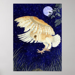 A Barn Owl in flight Poster