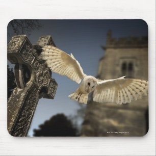 A Barn Owl (Tyto alba) in a graveyard in North Mouse Pad