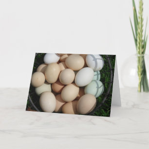 A Basketful of Colorful Chicken Eggs Still Life Card