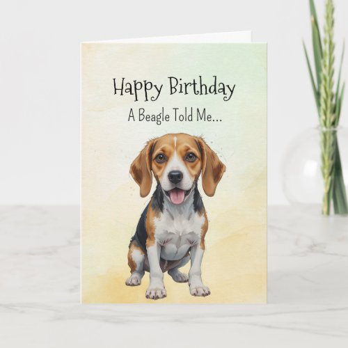 A Beagle Personality Birthday Fun Animal