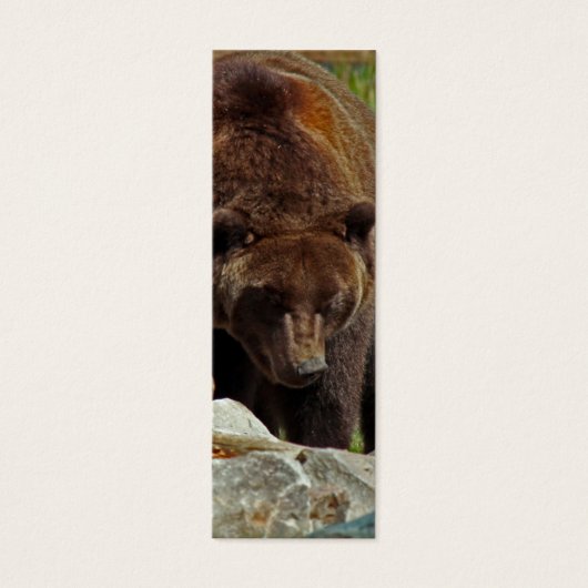 A Bear of a Bookmark (Front)