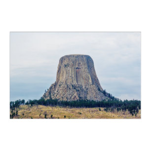 A Bear's Home Acrylic Print