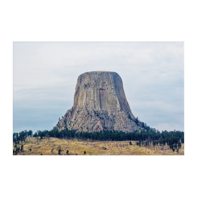A Bear's Home Acrylic Print (Front)