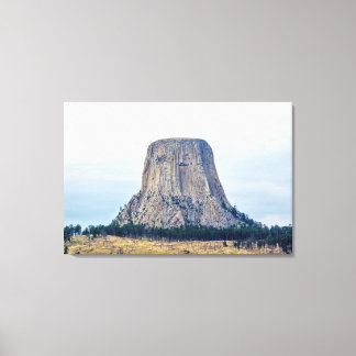 A Bear's Home Canvas Print