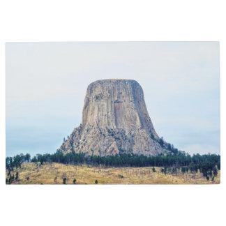 A Bear's Home Metal Print