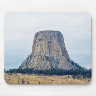 A Bear's Home Mouse Pad