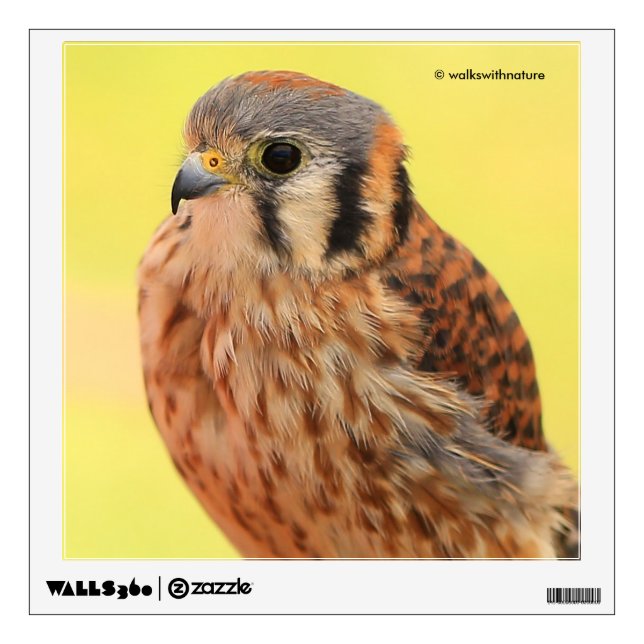 A Beautiful American Kestrel Wall Sticker (Front)