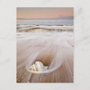 A Beautiful Beach   Costa Blanca, Spain Postcard