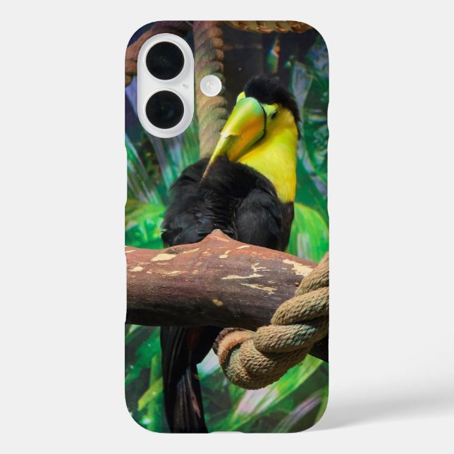 a beautiful black and yellow Toucan  Case-Mate iPhone Case (Back)