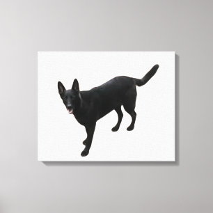 A beautiful black German Shepherd Canvas Print