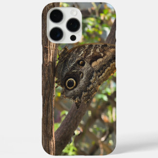 a beautiful brown butterfly iPhone 16 pro max case