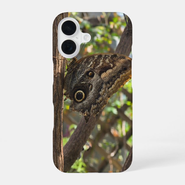 a beautiful brown butterfly iPhone case (Back)