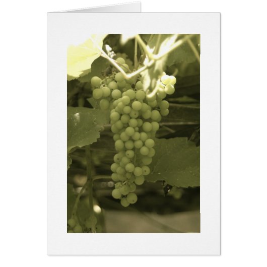 A beautiful bunch of grapes cards (Front)