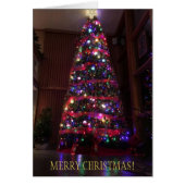 A Beautiful Christmas Tree with Reflections (Front)