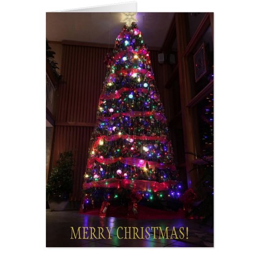A Beautiful Christmas Tree with Reflections Cards (Front)