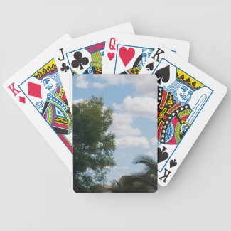 A Beautiful Day Bicycle Playing Cards. What better way to plan your next move than with these awesome playing cards?!