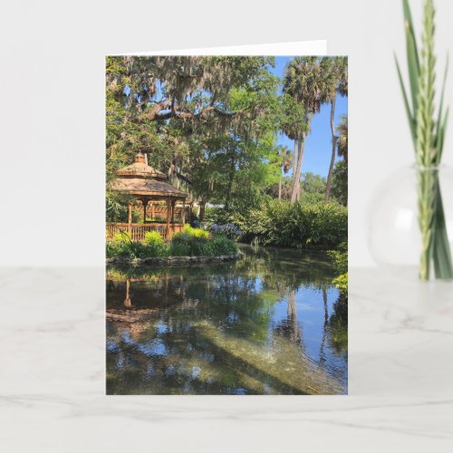 A beautiful day in northern Florida  Thank You Card