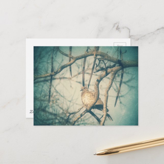 A beautiful Dove Postcard (Front/Back In Situ)