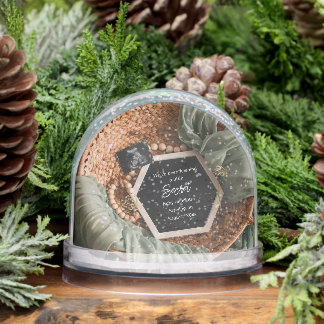 a beautiful elegant pregnancy announcement snow globe