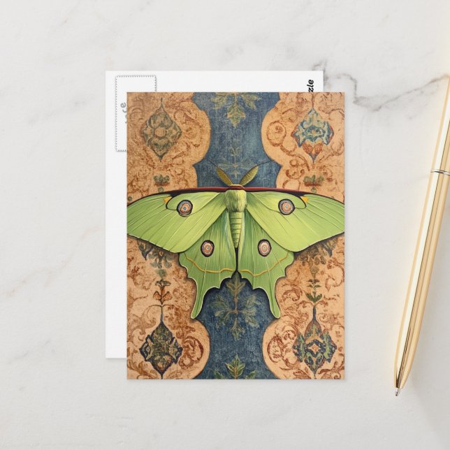 A Beautiful Green Moth Brown Blue Background Postcard (Front/Back In Situ)