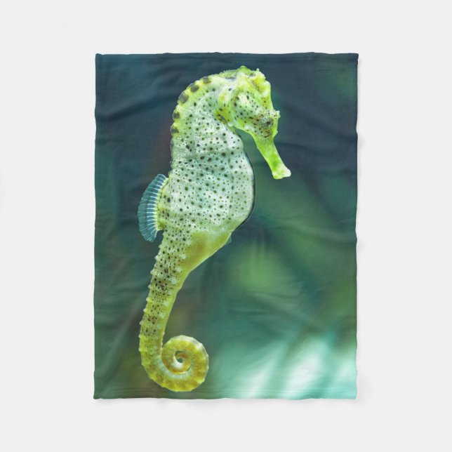 A Beautiful Knysna Seahorse Fleece Blanket (Front)