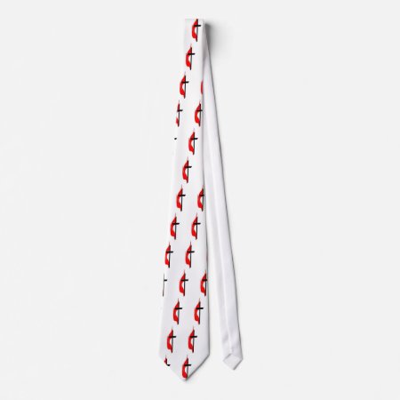 A Beautiful Methodist Tie! Tie