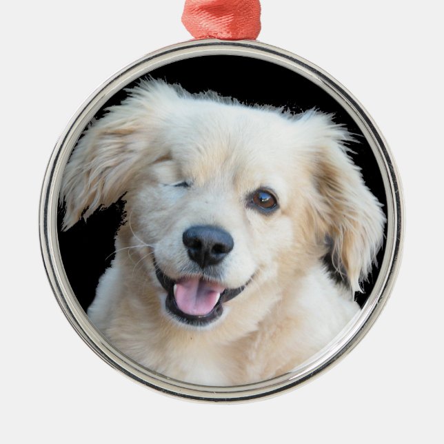 A beautiful one eyed dog. metal ornament (Front)