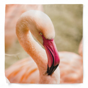 A Beautiful Pink Flamingo  Bandana