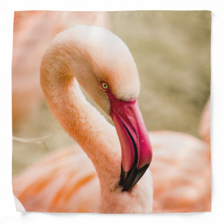 A Beautiful Pink Flamingo Bandana