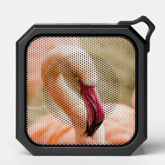 A Beautiful Pink Flamingo Bluetooth Speaker
