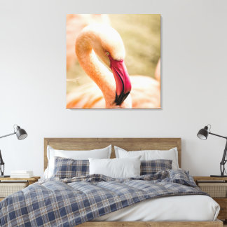 A Beautiful Pink Flamingo Canvas Print