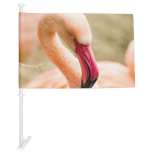 A Beautiful Pink Flamingo Car Flag