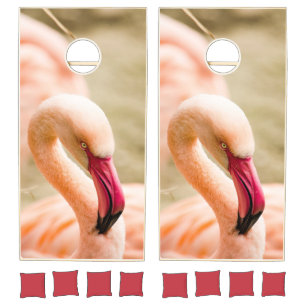 A Beautiful Pink Flamingo Cornhole Set