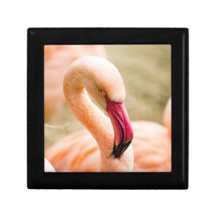 A Beautiful Pink Flamingo Gift Box