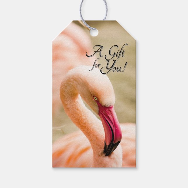 A Beautiful Pink Flamingo  Gift Tags (Front)