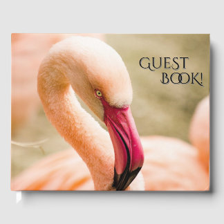 A Beautiful Pink Flamingo Guest Book