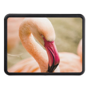 A Beautiful Pink Flamingo  Hitch Cover