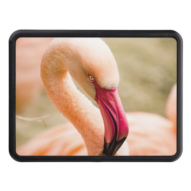 A Beautiful Pink Flamingo  Hitch Cover (Front)
