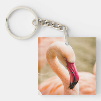 A Beautiful Pink Flamingo Keychain
