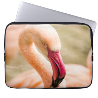 A Beautiful Pink Flamingo Laptop Sleeve