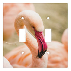 A Beautiful Pink Flamingo Light Switch Cover