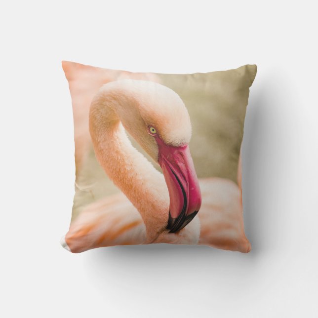 A Beautiful Pink Flamingo  Outdoor Pillow (Front)