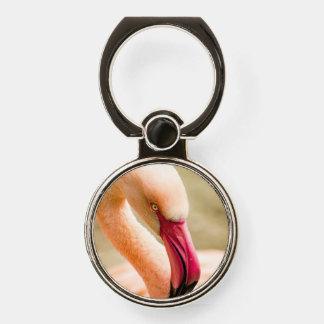 A Beautiful Pink Flamingo  Phone Ring Stand